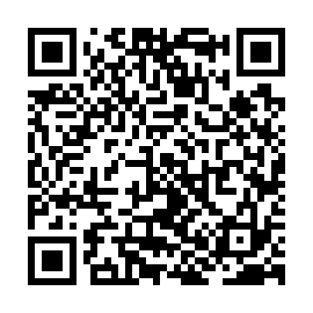 QR code for ZH6733