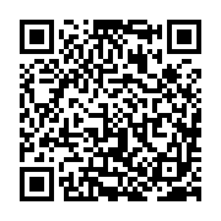 QR code for ZH8993