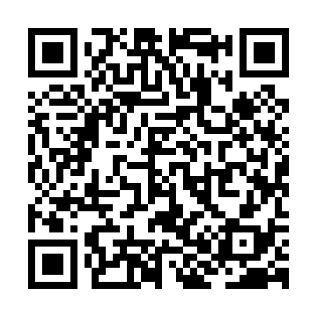 QR code for ZH9038