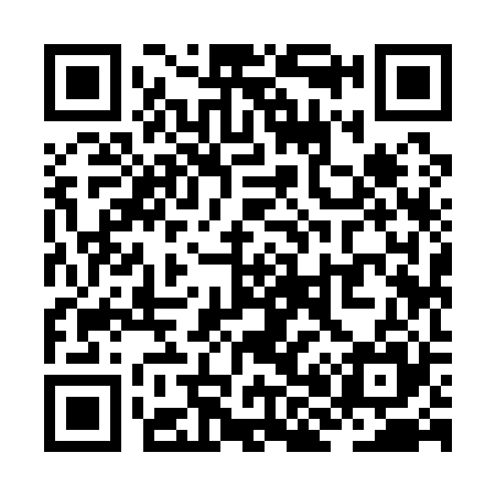 QR code for ZH9125