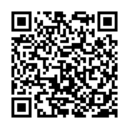 QR code for ZH9338