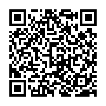 QR code for ZH9731