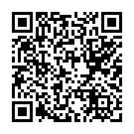 QR code for ZI0291