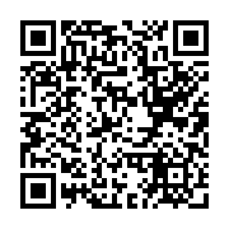 QR code for ZI0389