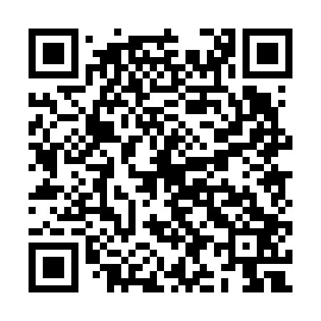 QR code for ZI0603