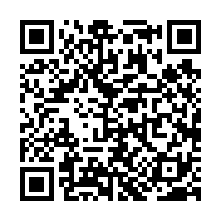 QR code for ZI0631