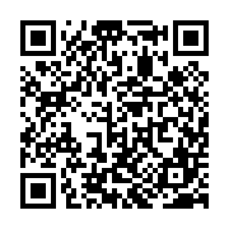 QR code for ZI1006