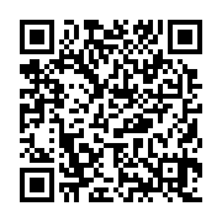 QR code for ZI1335