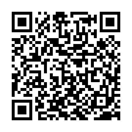 QR code for ZI2013