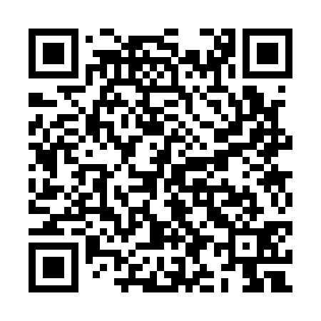 QR code for ZI3131