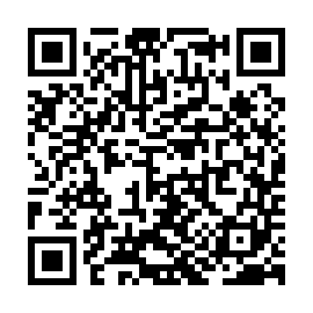 QR code for ZI3141