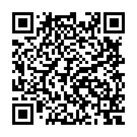 QR code for ZI3895