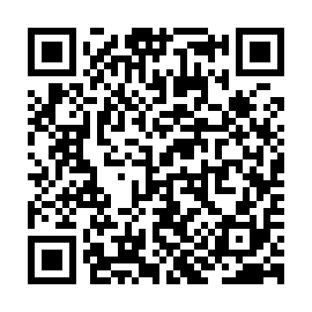 QR code for ZI3910