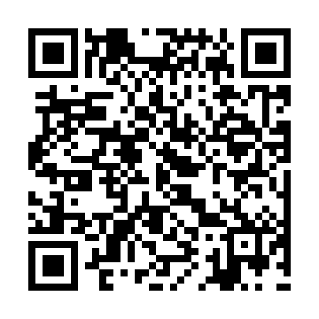 QR code for ZI3982