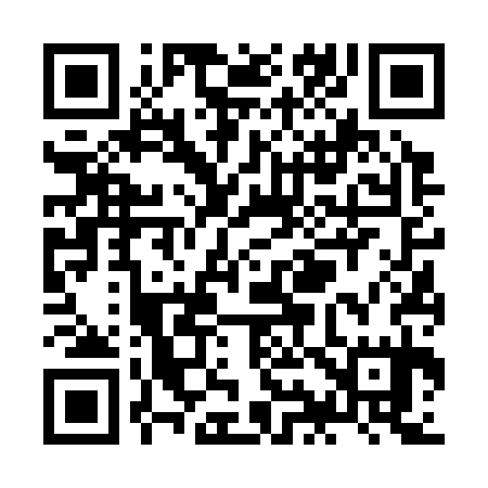 QR code for ZI6335