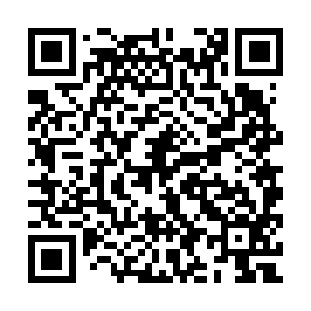 QR code for ZI6696