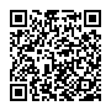 QR code for ZI6729