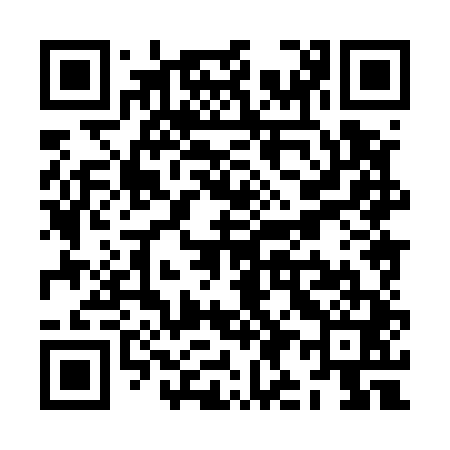QR code for ZI8541