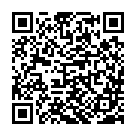 QR code for ZI8782