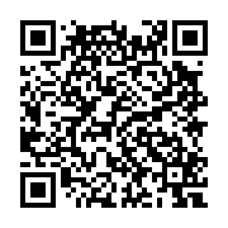 QR code for ZI9005