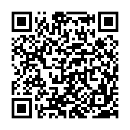 QR code for ZI9116