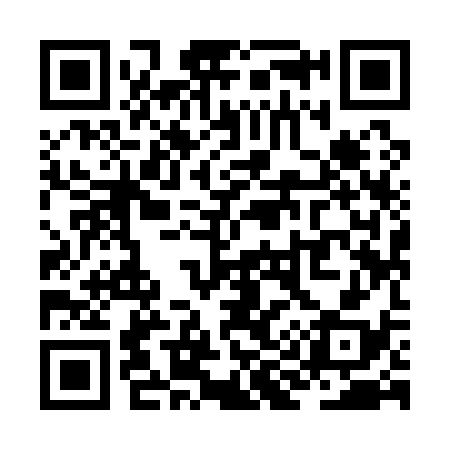 QR code for ZI9138