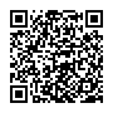 QR code for ZI9225