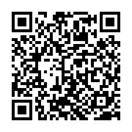 QR code for ZI9235