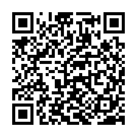 QR code for ZI9370