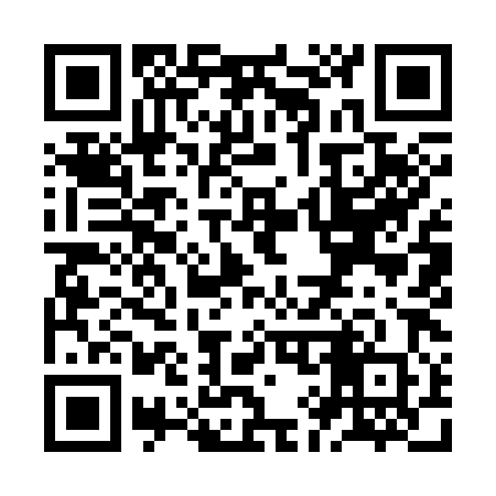 QR code for ZI9380