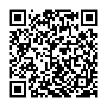 QR code for ZI9393