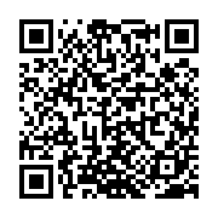 QR code for ZI9500