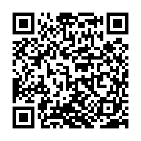 QR code for ZI9561