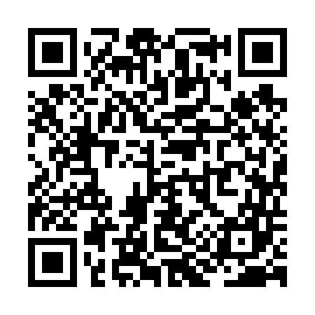 QR code for ZI9647