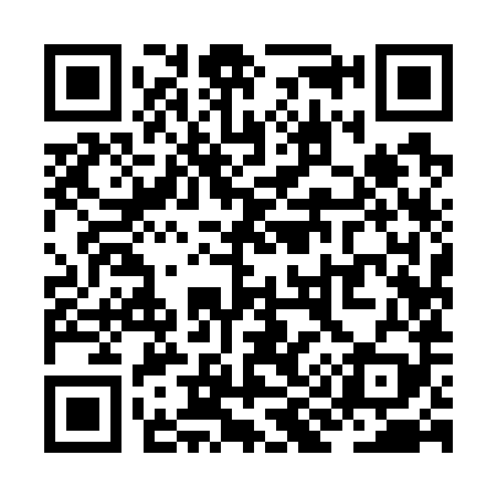 QR code for ZI9789