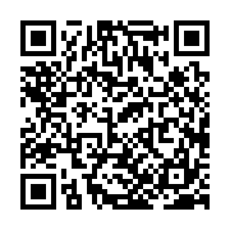 QR code for ZJ0337