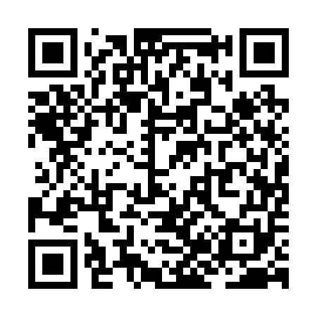 QR code for ZJ1251
