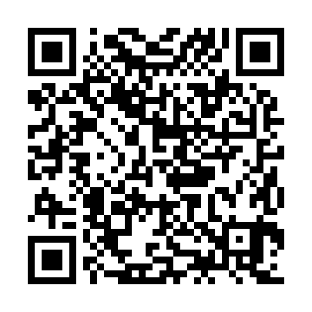 QR code for ZJ2981
