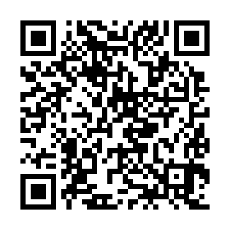 QR code for ZJ6383
