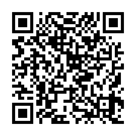 QR code for ZJ9539