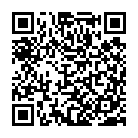 QR code for ZJ9665
