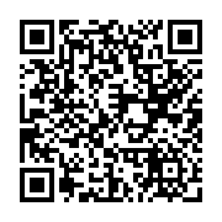 QR code for ZK1317