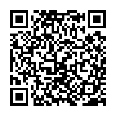 QR code for ZK1741