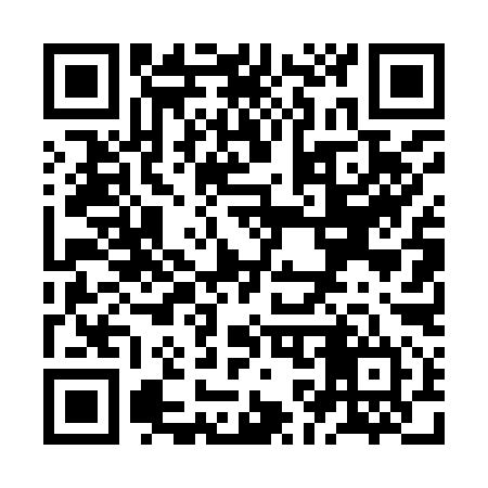 QR code for ZK4994