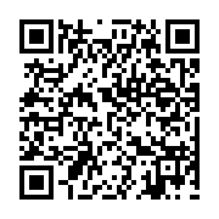QR code for ZK6393
