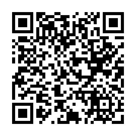 QR code for ZL0596