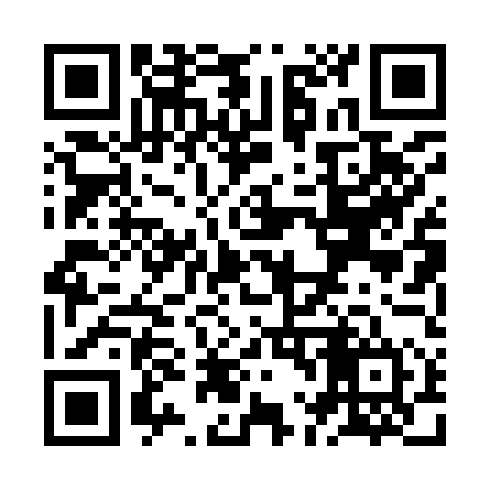 QR code for ZL0954