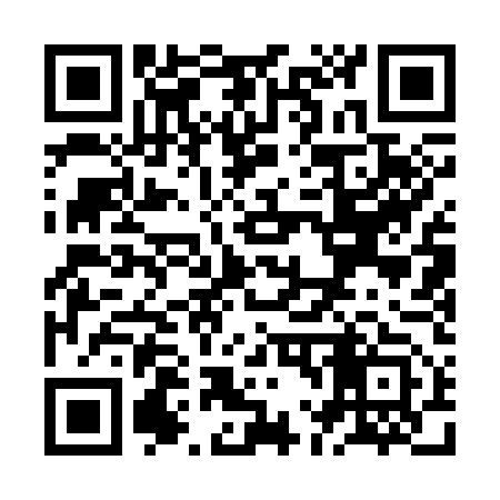 QR code for ZL1353