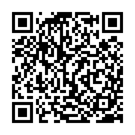 QR code for ZL1541