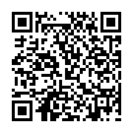 QR code for ZL1953